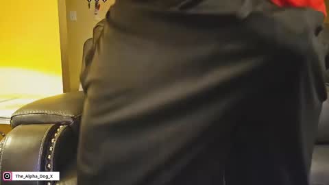 Snapshot of the_alpha_dog_xxx chatting on 12-15-24, 11:53 the_alpha_dog_xxx online show from 12-15-24, 11:53