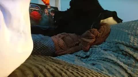 GIORGGIO online show from 04-10-26, 12:38