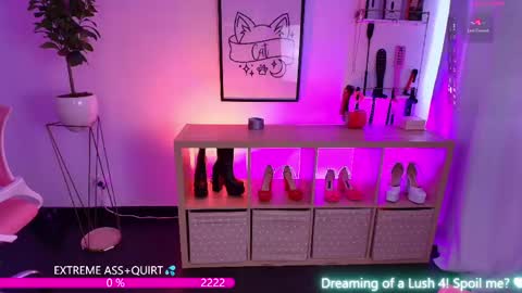 i am Cat  online show from 05-19-26, 06:36
