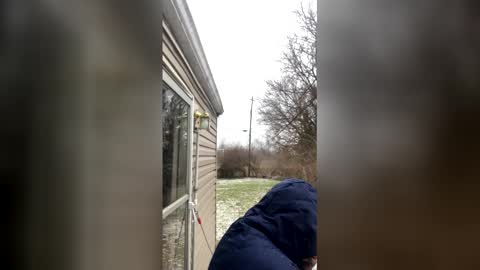 the_invincible_1 online show from 01-17-26, 01:49