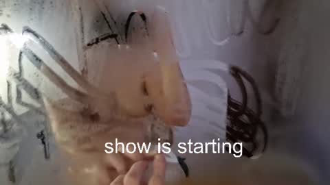 Anna online show from 07-11-26, 11:06
