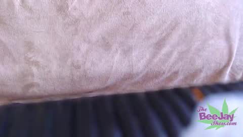 Snapshot of thebeejayshow chatting on 12-04-24, 03:43 TheBeeJayShow online show from 12-04-24, 03:43