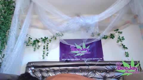 Snapshot of thebeejayshow chatting on 12-04-24, 09:57 TheBeeJayShow online show from 12-04-24, 09:57