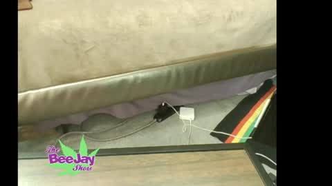 TheBeeJayShow online show from 05-23-26, 01:48