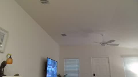 Dominick online show from 07-06-26, 11:07