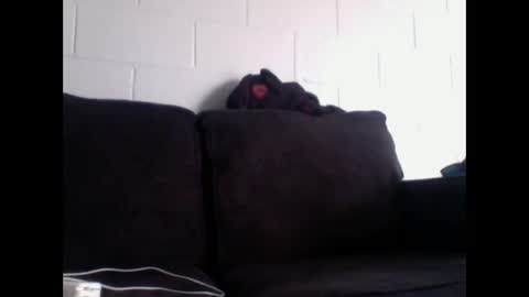 Snapshot of thee304slayer chatting on 12-16-25, 11:10 thee304slayer online show from 12-16-25, 11:10