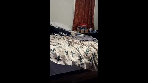 theggfgfgf online show from 05-17-26, 03:04