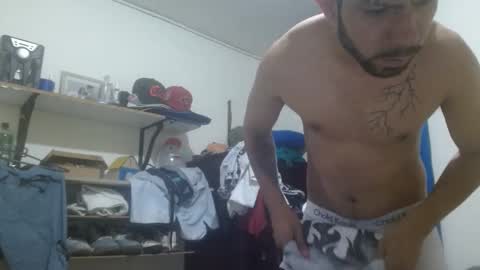 thehousedog online show from 01-09-26, 12:08