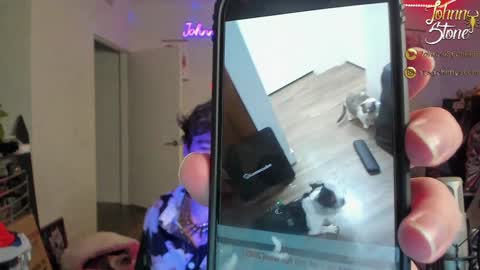 Snapshot of thejohnnystone chatting on 12-29-24, 01:13 Johnny Stone online show from 12-29-24, 01:13