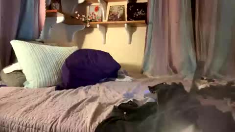 theonlyboi43ver online show from 12-17-25, 11:44