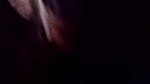 Snapshot of theprofessorxo chatting on 09-29-25, 12:49 theprofessorxo online show from 09-29-25, 12:49