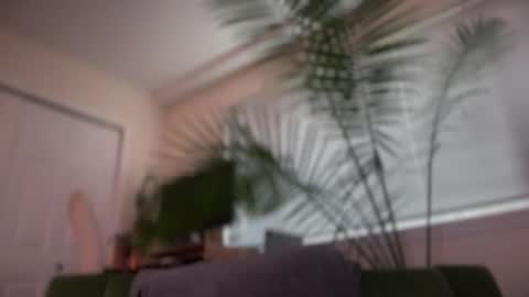 Pookie online show from 05-17-26, 12:08