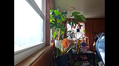 Snapshot of therizzler_1_of_1 chatting on 12-17-24, 03:49 therizzler_1_of_1 online show from 12-17-24, 03:49