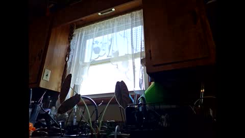 Snapshot of therizzler_1_of_1 chatting on 09-11-25, 06:30 therizzler_1_of_1 online show from 09-11-25, 06:30