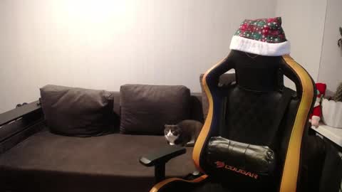 Nick   online show from 12-27-24, 03:59