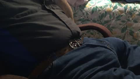 Snapshot of thetnguy chatting on 12-21-24, 12:42 thetnguy online show from 12-21-24, 12:42