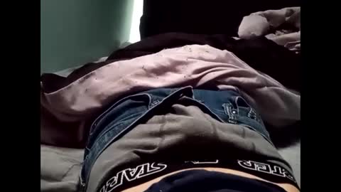 theturtleshead online show from 01-23-25, 11:05