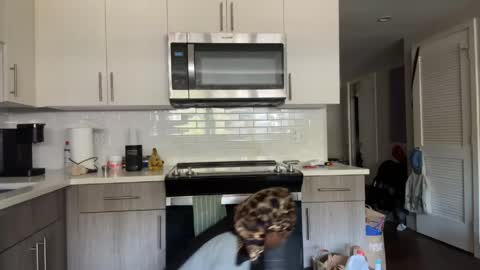 Sapphire the Vixen online show from 04-10-26, 02:55