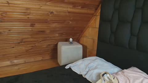 thiago_n_sam online show from 11-01-25, 12:01