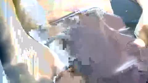 thickbong online show from 10-11-25, 04:49