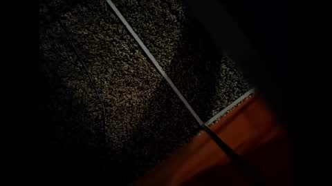 thicknordiccock online show from 01-08-26, 06:32