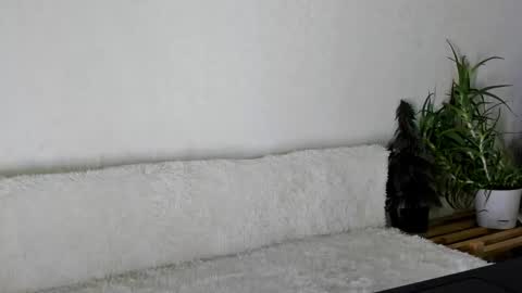 Snapshot of thief_of_hearts_ chatting on 11-26-25, 09:54 thief_of_hearts_ online show from 11-26-25, 09:54