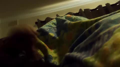 thisbloke96 online show from 02-10-26, 04:38