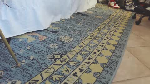 ThongMuscle online show from 02-27-25, 01:49