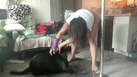 Snapshot of throatyygoat chatting on 09-18-25, 08:33 throatyygoat online show from 09-18-25, 08:33