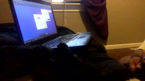 Snapshot of tierrahenri chatting on 02-02-25, 03:49 Tierra Henri online show from 02-02-25, 03:49