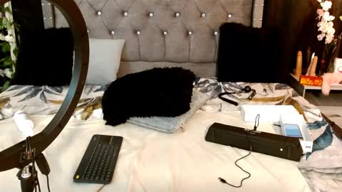 Snapshot of tiffany_sander chatting on 03-01-25, 01:00 tiffany_sander online show from 03-01-25, 01:00