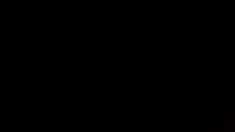 tiff online show from 12-19-24, 12:02