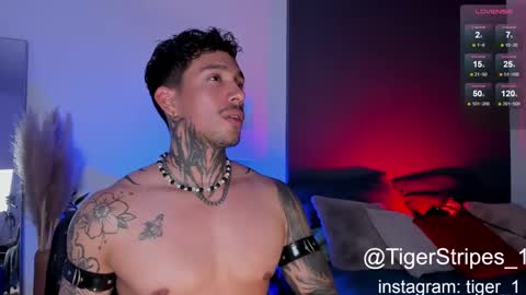 Snapshot of tigerstripes_ chatting on 02-02-25, 10:28 Chris online show from 02-02-25, 10:28