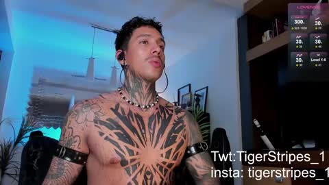 Snapshot of tigerstripes_ chatting on 02-22-25, 04:40 Chris online show from 02-22-25, 04:40