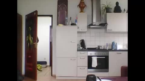 tigertrance online show from 03-11-25, 11:44