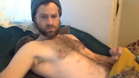 tigerzaddy online show from 12-02-24, 02:41