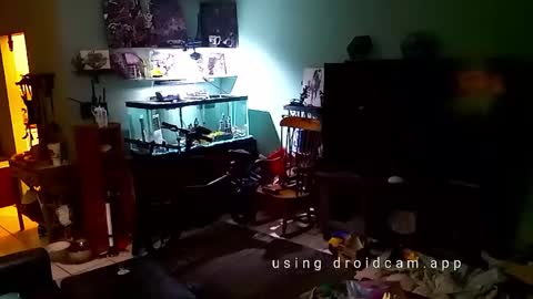 tinalover4u2 online show from 11-17-25, 06:35