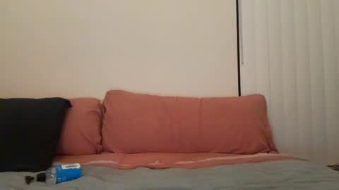 Snapshot of tinytittytia chatting on 02-18-25, 02:49 Tia online show from 02-18-25, 02:49