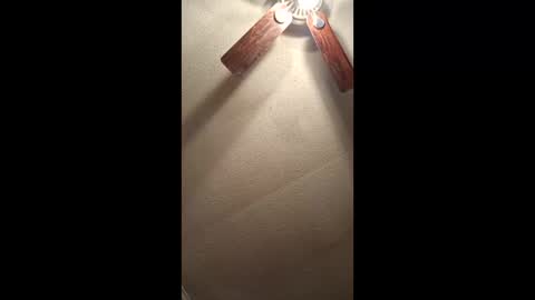 Vols online show from 02-03-26, 12:54