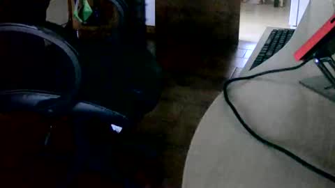 Tobiko online show from 11-15-25, 03:30