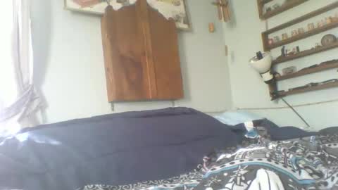 toddhaven4u online show from 02-08-26, 01:58