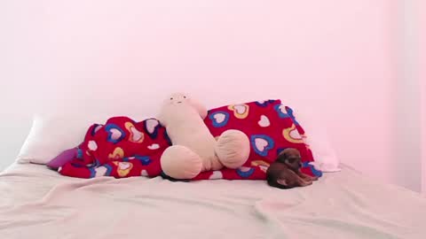 Adela y juan online show from 12-02-24, 05:04