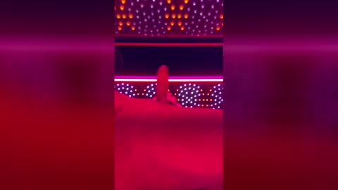 tomandnika online show from 04-11-26, 09:02