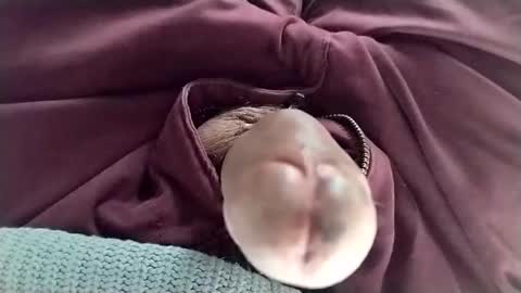 Snapshot of tomas_cum69 chatting on 01-11-25, 08:32 Tomas online show from 01-11-25, 08:32