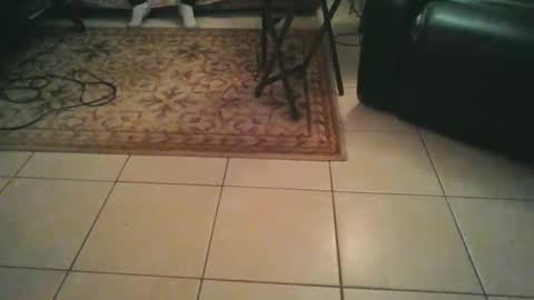 sirmuggsalot online show from 03-20-26, 07:02