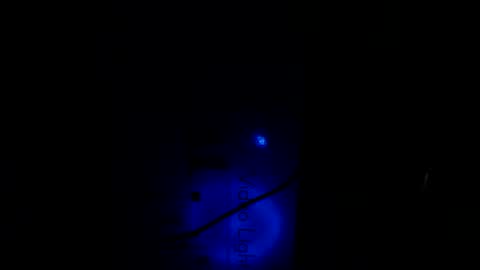   Thomas    online show from 01-21-25, 10:30