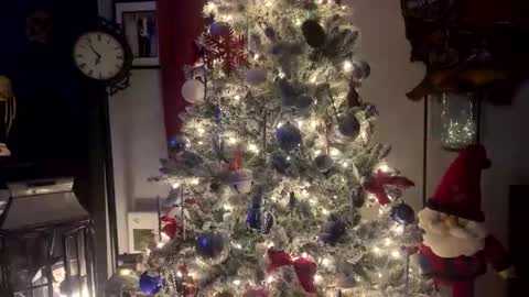 Snapshot of tommybones4l93 chatting on 12-18-25, 02:06 tommybones4l93 online show from 12-18-25, 02:06