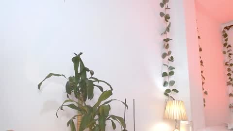 Tommy Foxboy online show from 03-05-25, 05:18