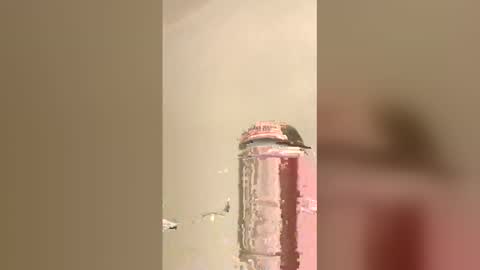 tommygun4969 online show from 02-05-26, 12:37