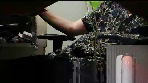 tontin69 online show from 03-31-26, 12:12